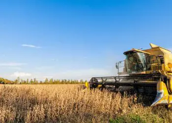 VBP da agropecuária deve alcançar R$ 1,48 trilhão em 2025