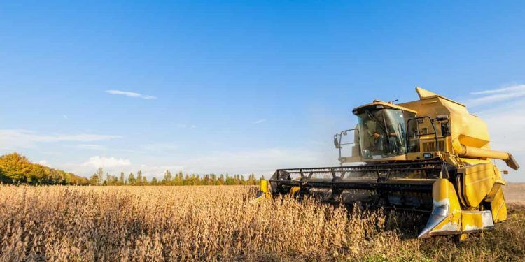 VBP da agropecuária deve alcançar R$ 1,48 trilhão em 2025