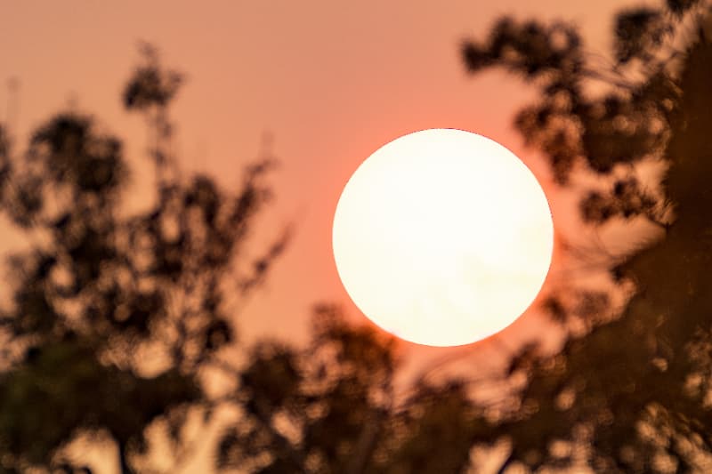 Altas temperaturas