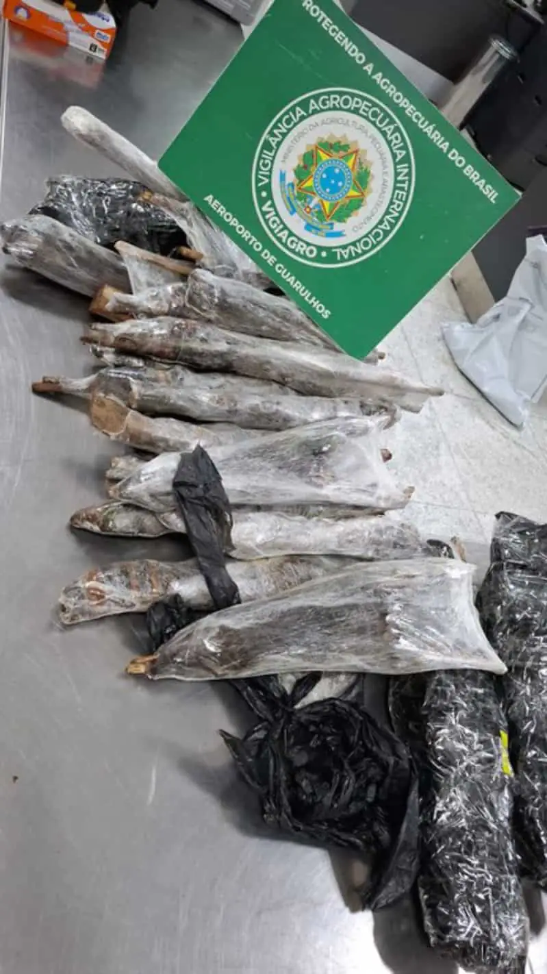 Operação apreende mais de 130 animais e partes de alto risco sanitário em São Paulo 2 Apreensão de animais