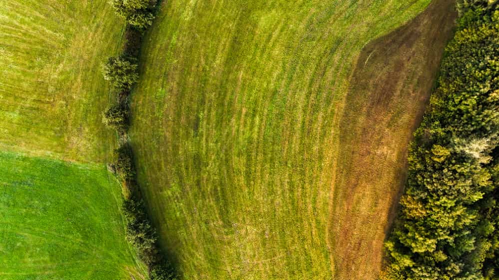 perda de áreas naturais