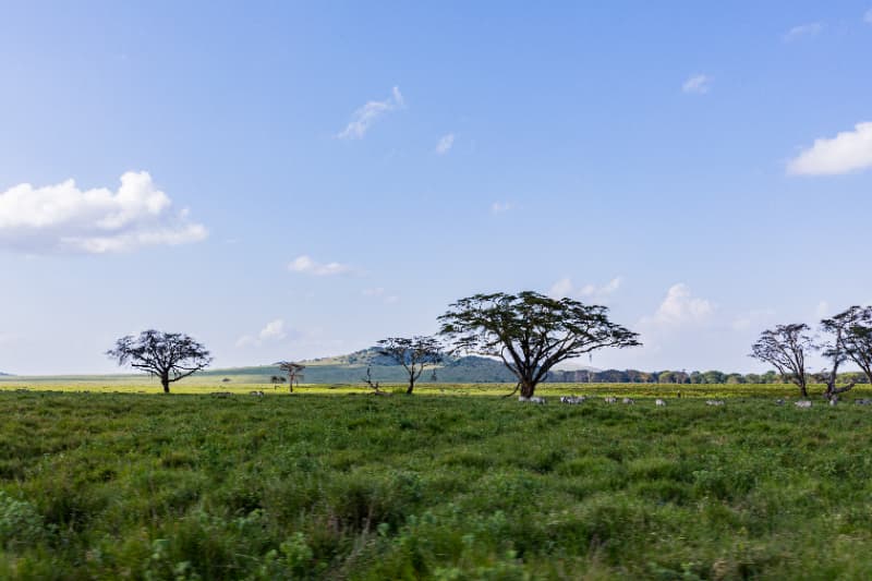 Pagamento por Serviços Ambientais beneficia 429 propriedades rurais em Goiás 3 Cerrado
