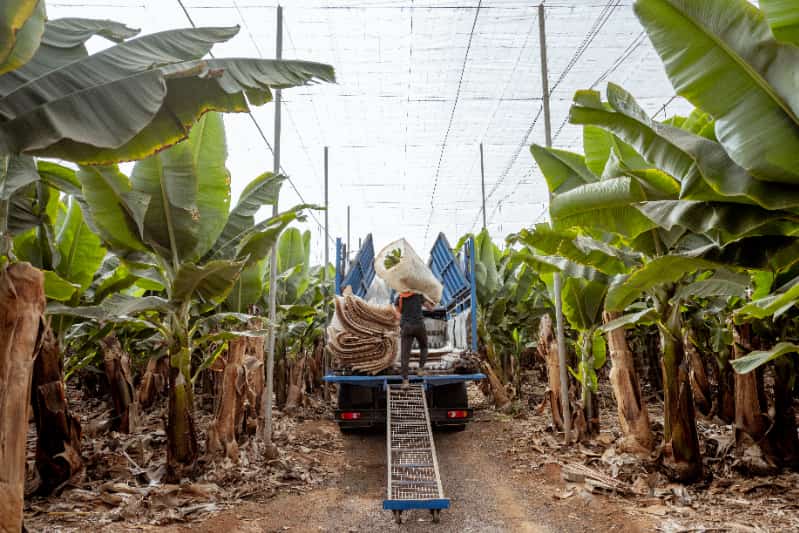 Comércio agrícola