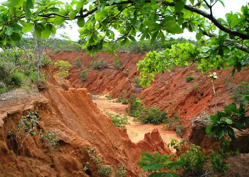 Brasil ganha novo mapa de erodibilidade dos solos para apoiar políticas de conservação 2 Erodibilidade