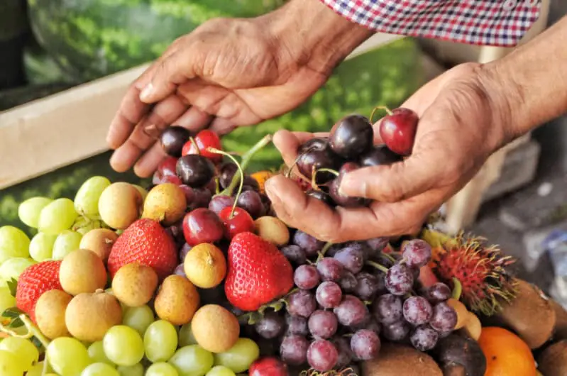 Exportações de frutas