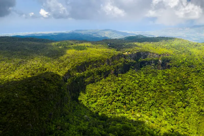 Mata atlântica