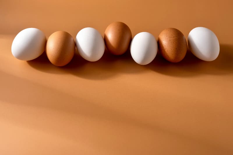 ovos 1