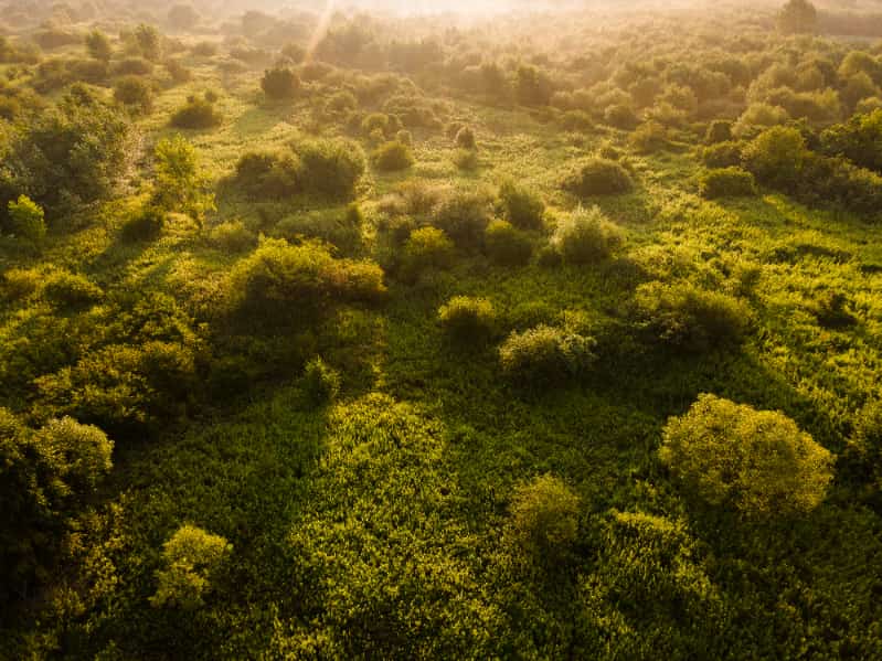 Pagamento por Serviços Ambientais beneficia 429 propriedades rurais em Goiás 2 Preservação do Cerrado