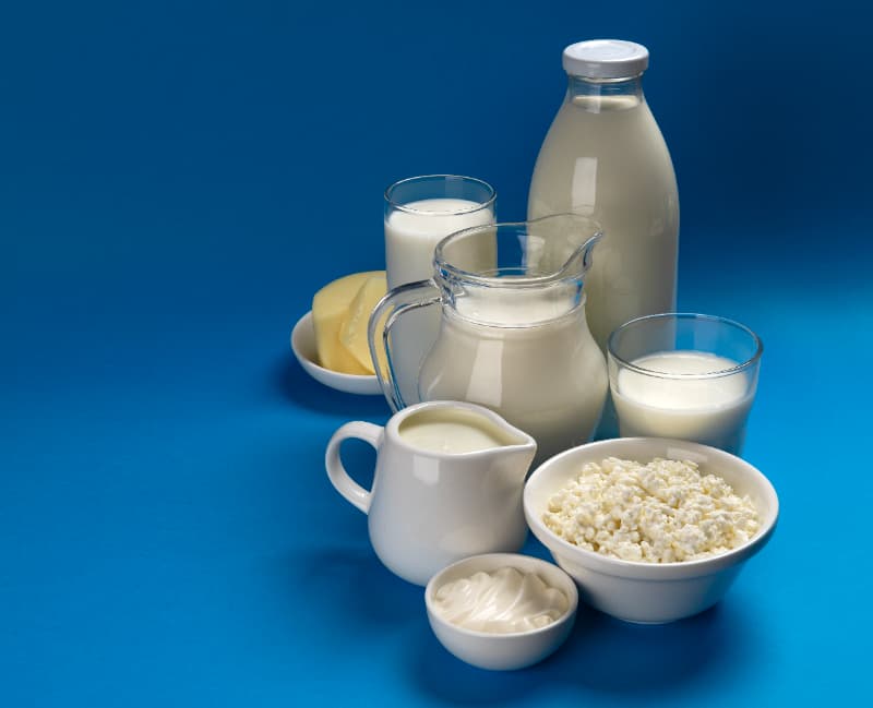 Produtos de origem animal