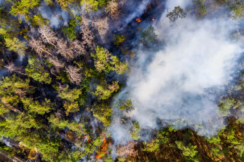 Queimadas em Goiás avançam 152% em agosto e expõem gravidade da seca 3 Queimadas