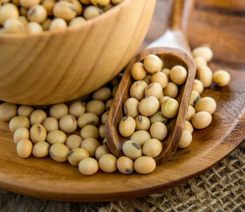 Soja com areia e fezes de aves é apreendida e destruída no Paraná 2 Soja irregular