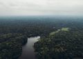 Amazônia perde 52 milhões de hectares de floresta em quatro décadas