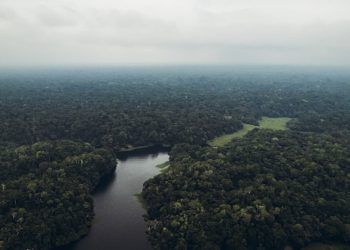Amazônia perde 52 milhões de hectares de floresta em quatro décadas