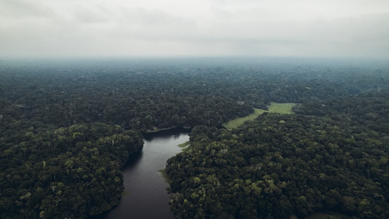 Amazônia perde 52 milhões de hectares de floresta em quatro décadas