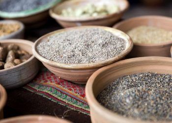 Brasil amplia exportações de produtos agropecuários para Argentina e Paraguai