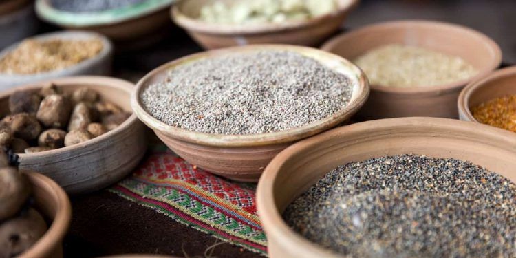Brasil amplia exportações de produtos agropecuários para Argentina e Paraguai
