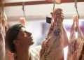Brasil deve bater recorde na produção de carnes em 2026