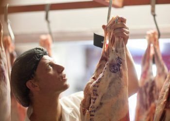 Brasil deve bater recorde na produção de carnes em 2026