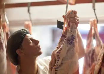 Brasil deve bater recorde na produção de carnes em 2026 9 Brasil deve bater recorde na produção de carnes em 2026