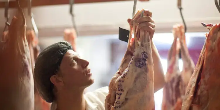 Brasil deve bater recorde na produção de carnes em 2026 1 Brasil deve bater recorde na produção de carnes em 2026