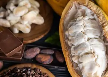 Brasil e Camarões firmam parceria para modernizar produção de cacau