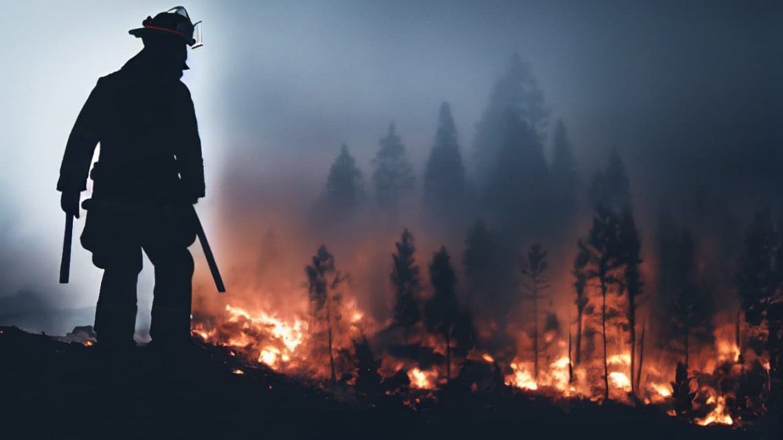 Brasil reforca estrategias contra incendios florestais diante de risco na Amazonia e no Pantanal