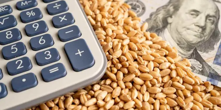 CMN cria linha de crédito de R$ 12 bilhões para quitar dívidas de produtores rurais 1 Foto: Envato