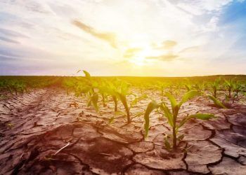 Câmara aprova prioridade para famílias rurais em áreas atingidas por desastres climáticos