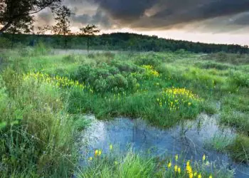 Foto: Envato