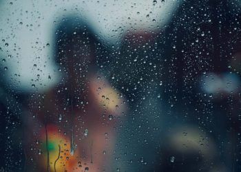 Foto: Envato