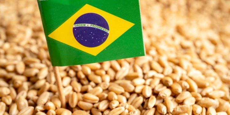 Clima, exportações e mercado influenciam decisões da nova safra brasileira