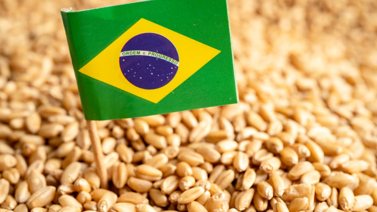 Clima, exportações e mercado influenciam decisões da nova safra brasileira
