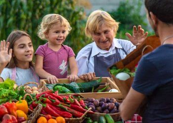 Comissão de Agricultura aprova mudanças no Programa de Venda em Balcão