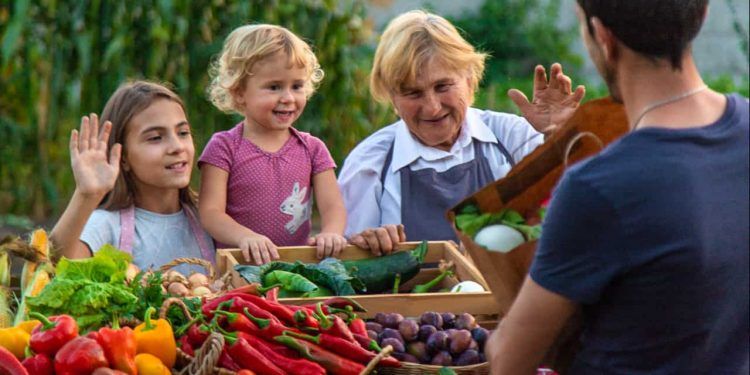 Comissão de Agricultura aprova mudanças no Programa de Venda em Balcão