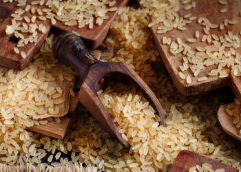 Conab anuncia R$ 300 milhões em contratos de opção de venda de arroz da safra 25/26