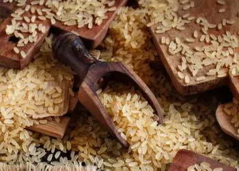 Conab anuncia R$ 300 milhões em contratos de opção de venda de arroz da safra 25/26