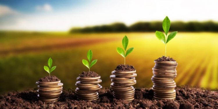 Desembolso rural em julho recua 8%, mas contratos sinalizam alta na safra 202526