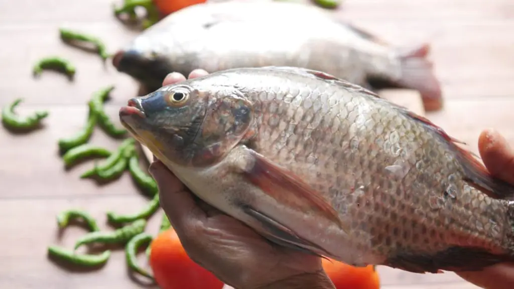 Do filé à pele tilápia se transforma em produto inovador no Brasil