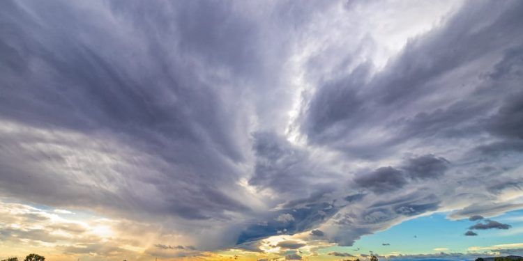 Foto: Envato