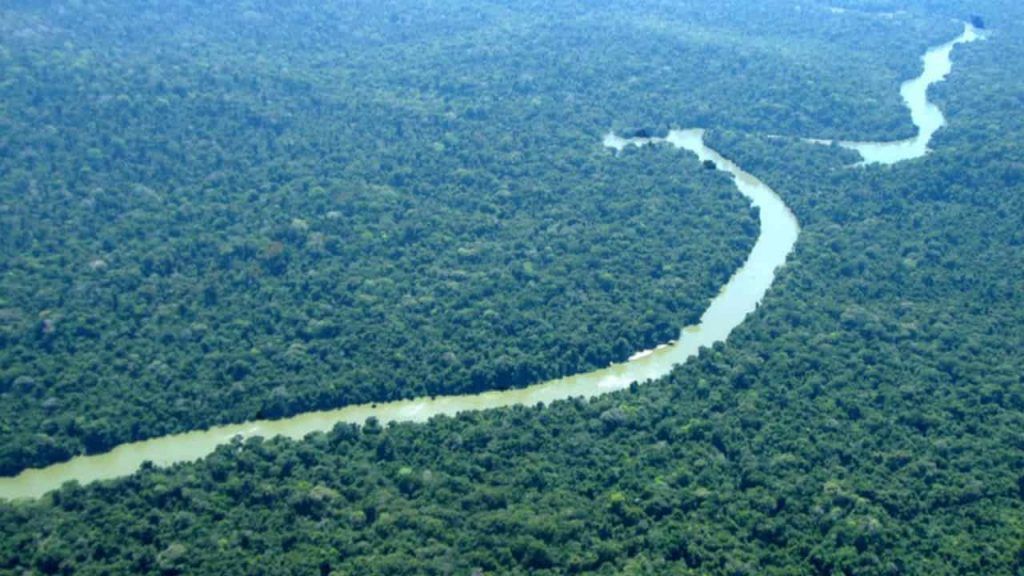 Fundo Florestas Tropicais para Sempre será lançado na COP30 com liderança do Brasil