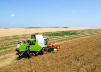 Goiás lidera expansão econômica com apoio do agronegócio