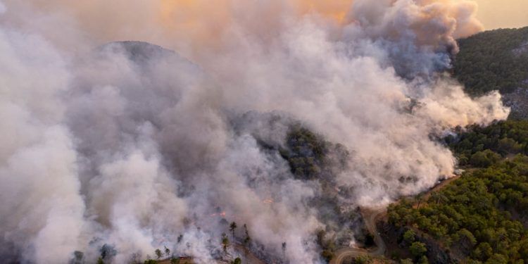 MMA prevê risco menos severo de incêndios florestais em 2025 1 Foto: Envato