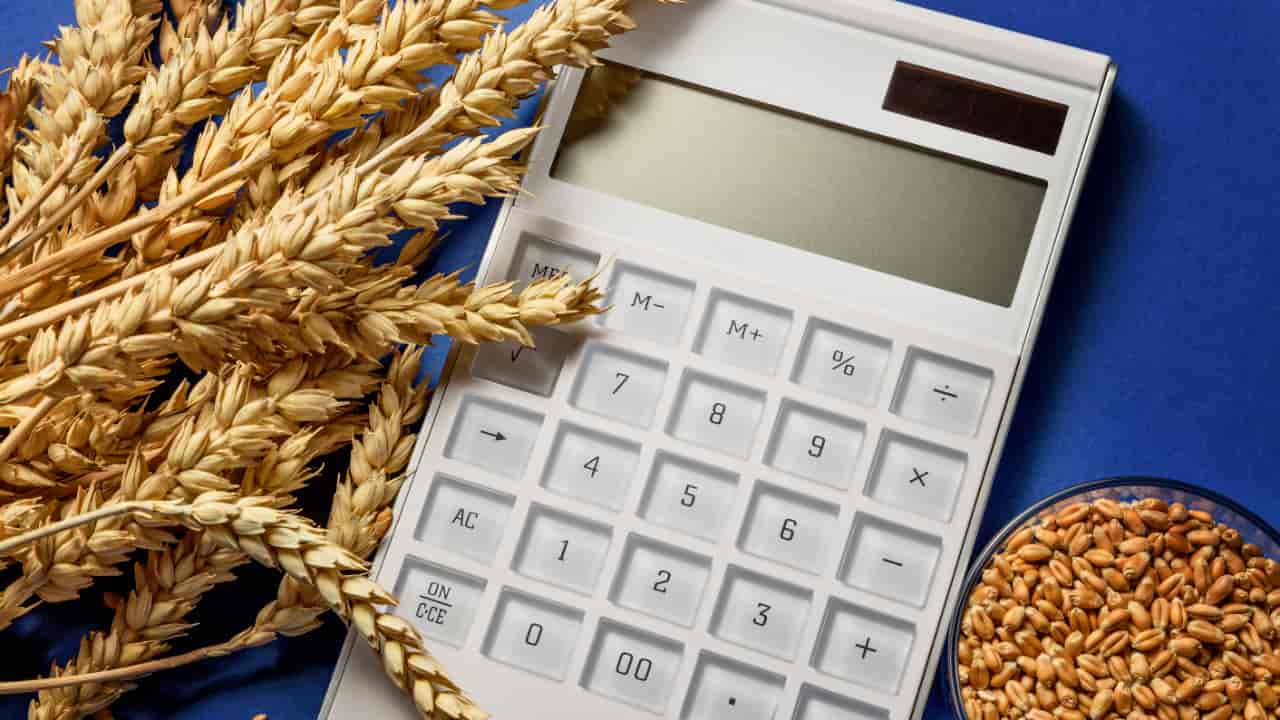Medida Provisória libera R$ 12 bilhões para renegociação de dívidas rurais