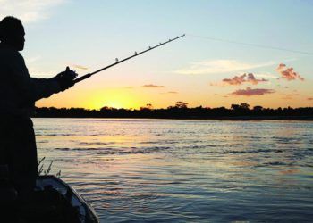 Ministério da Pesca cria Comitê da Pesca Amadora e Esportiva