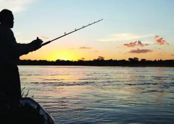 Ministério da Pesca cria Comitê da Pesca Amadora e Esportiva