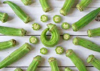 Outubro oferece boas condições para o cultivo de hortaliças, frutas e flores