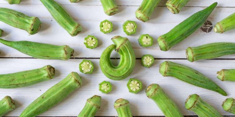 Outubro oferece boas condições para o cultivo de hortaliças, frutas e flores 1 Outubro oferece boas condições para o cultivo de hortaliças, frutas e flores