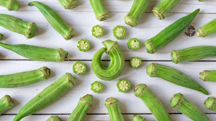 Outubro oferece boas condicoes para o cultivo de hortalicas frutas e flores