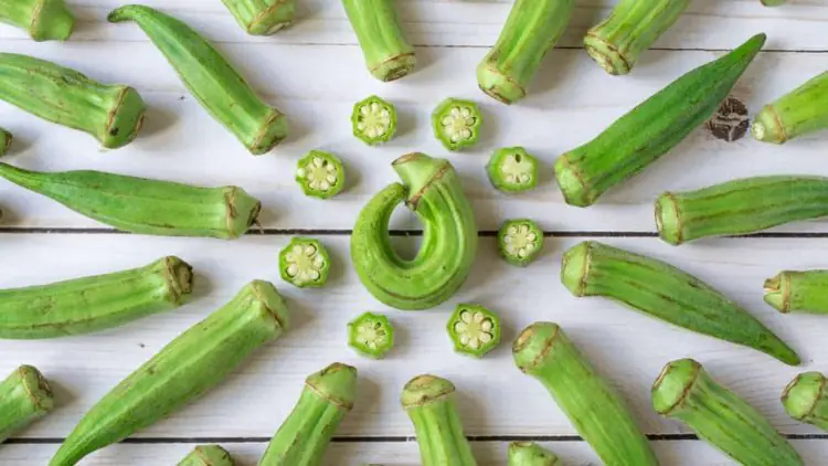 Outubro oferece boas condicoes para o cultivo de hortalicas frutas e flores