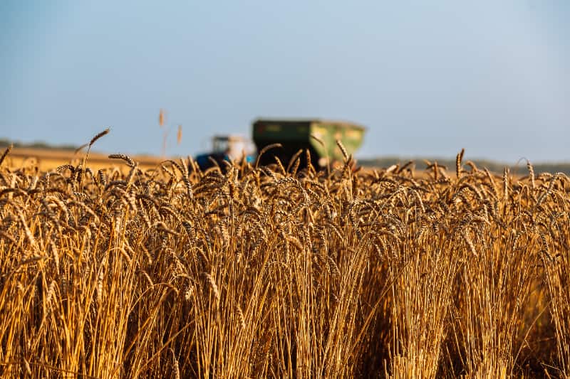 Crescimento do agronegócio fortalece PIB brasileiro em 2025 3 PIB